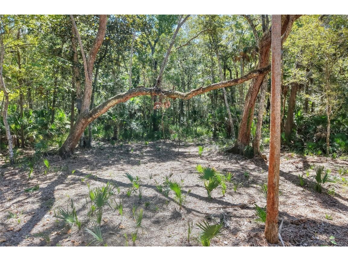 Pine Island Drive Weeki Wachee FL 34613 TB8438921 image14