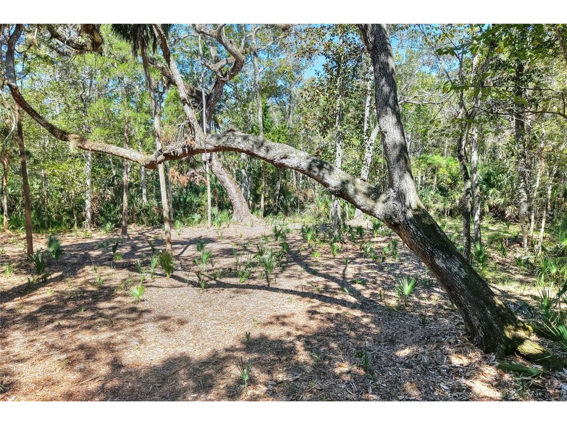 Pine Island Drive Weeki Wachee FL 34613 TB8438921 image16