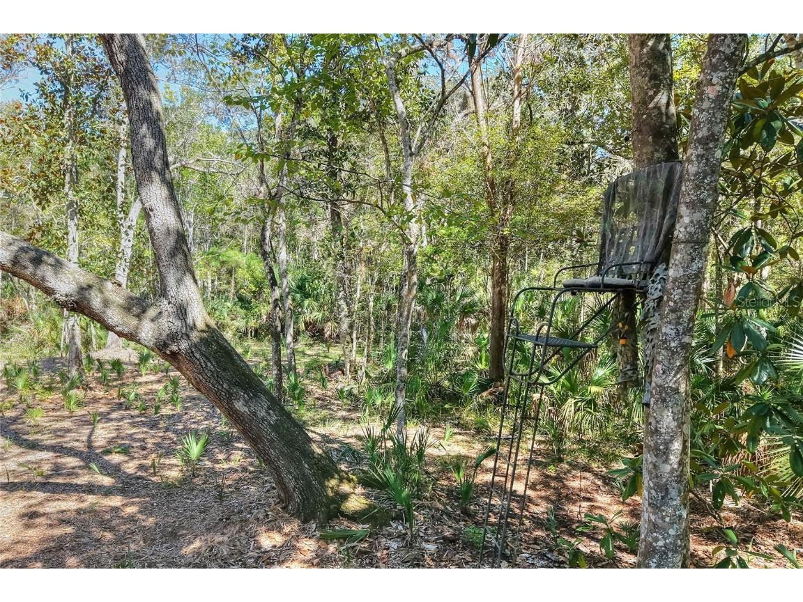 Pine Island Drive Weeki Wachee FL 34613 TB8438921 image17