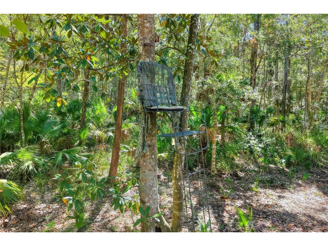 Pine Island Drive Weeki Wachee FL 34613 TB8438921 image19