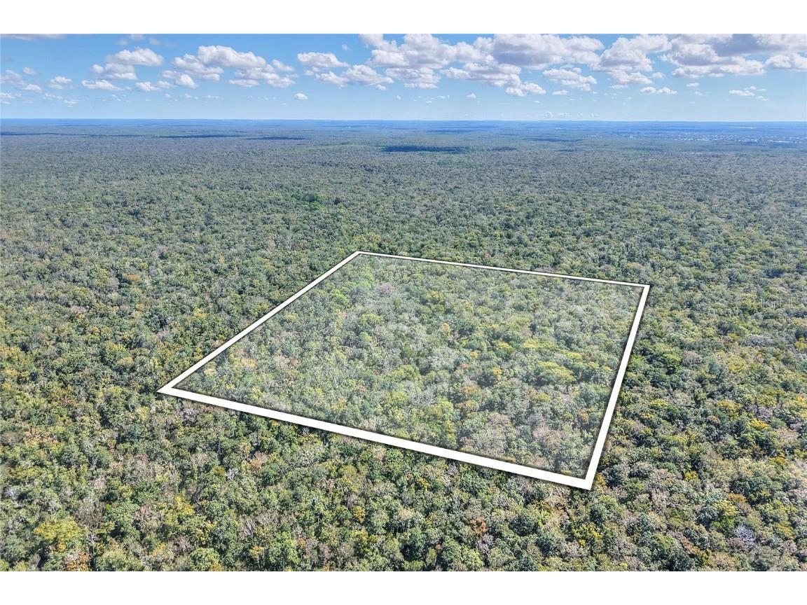 Pine Island Drive Weeki Wachee FL 34613 TB8438921 image2