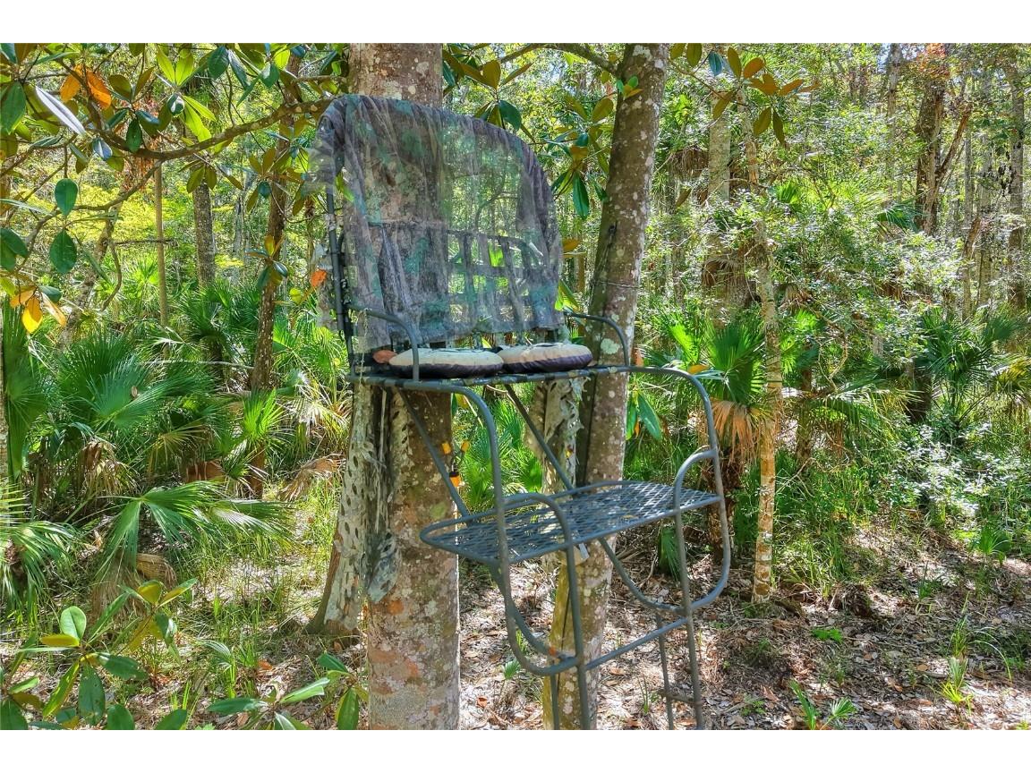 Pine Island Drive Weeki Wachee FL 34613 TB8438921 image20