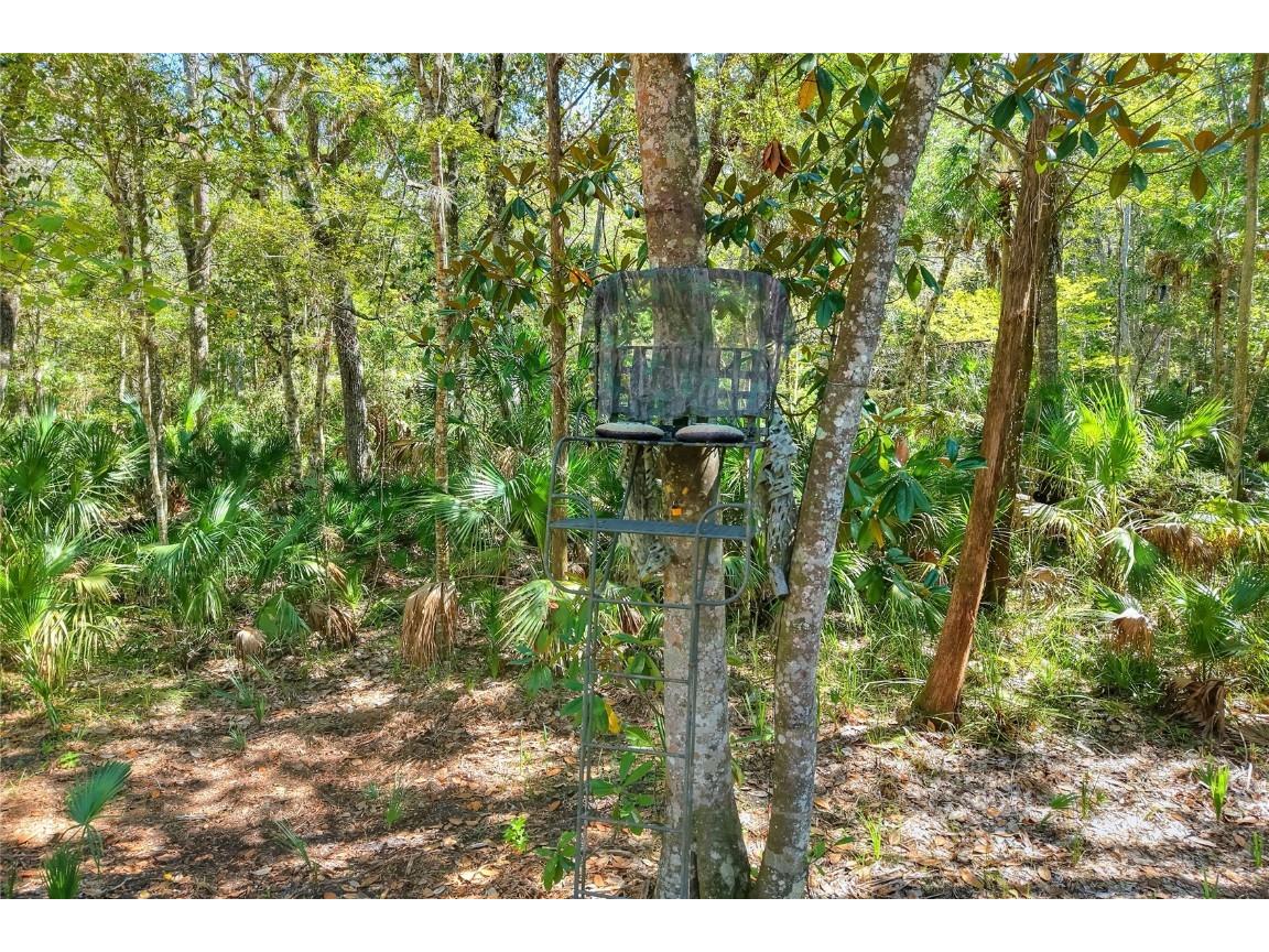 Pine Island Drive Weeki Wachee FL 34613 TB8438921 image21