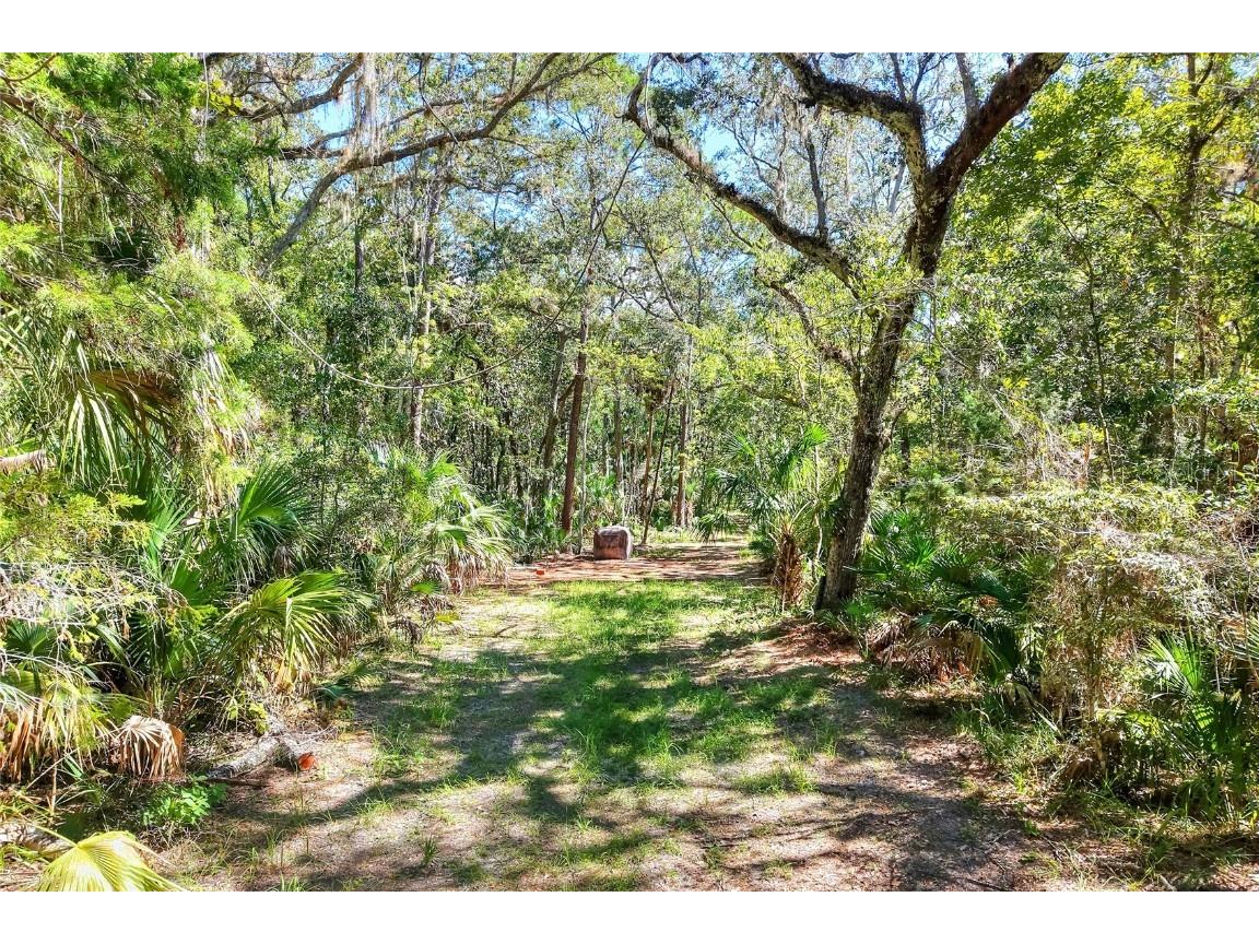 Pine Island Drive Weeki Wachee FL 34613 TB8438921 image25