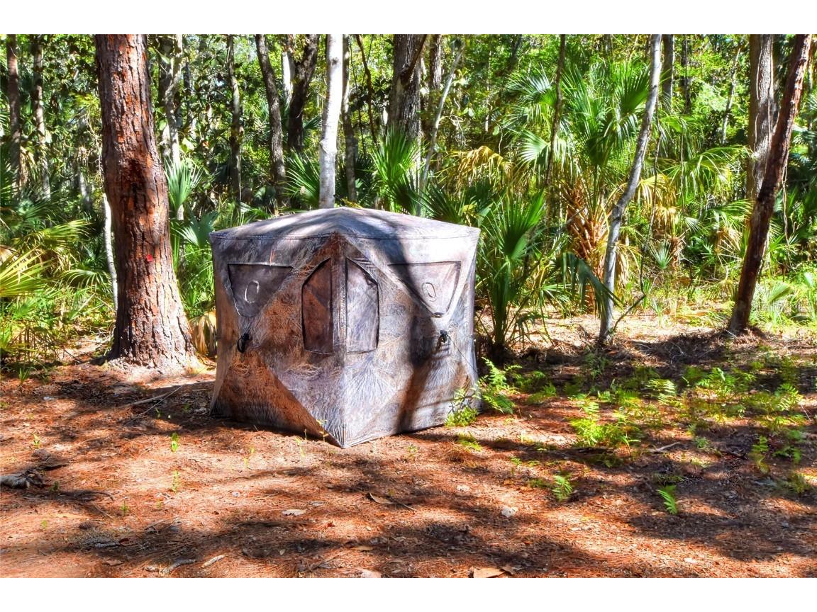 Pine Island Drive Weeki Wachee FL 34613 TB8438921 image26