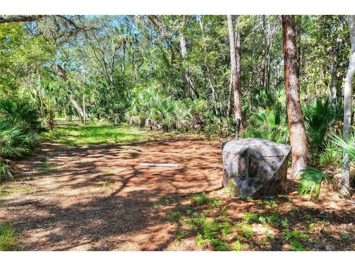 Pine Island Drive Weeki Wachee FL 34613 TB8438921 image27