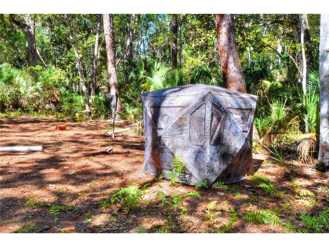 Pine Island Drive Weeki Wachee FL 34613 TB8438921 image28