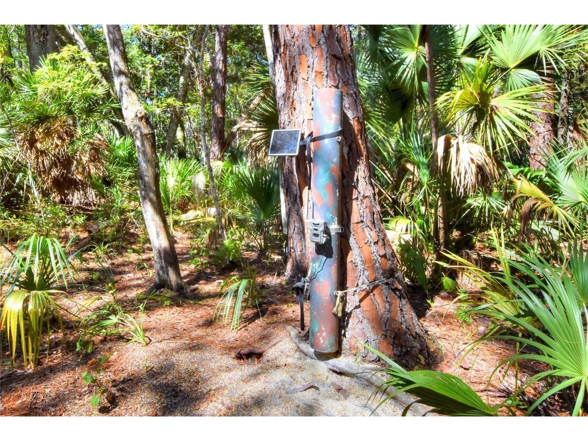 Pine Island Drive Weeki Wachee FL 34613 TB8438921 image29