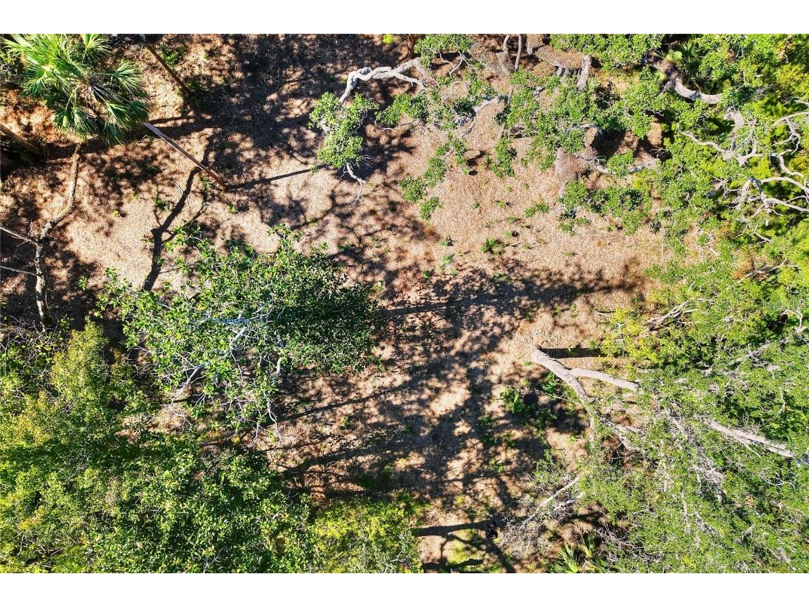 Pine Island Drive Weeki Wachee FL 34613 TB8438921 image30