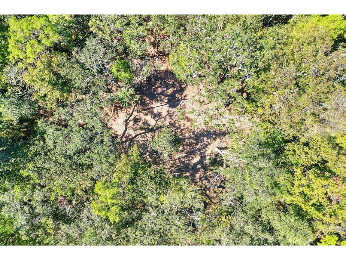 Pine Island Drive Weeki Wachee FL 34613 TB8438921 image31