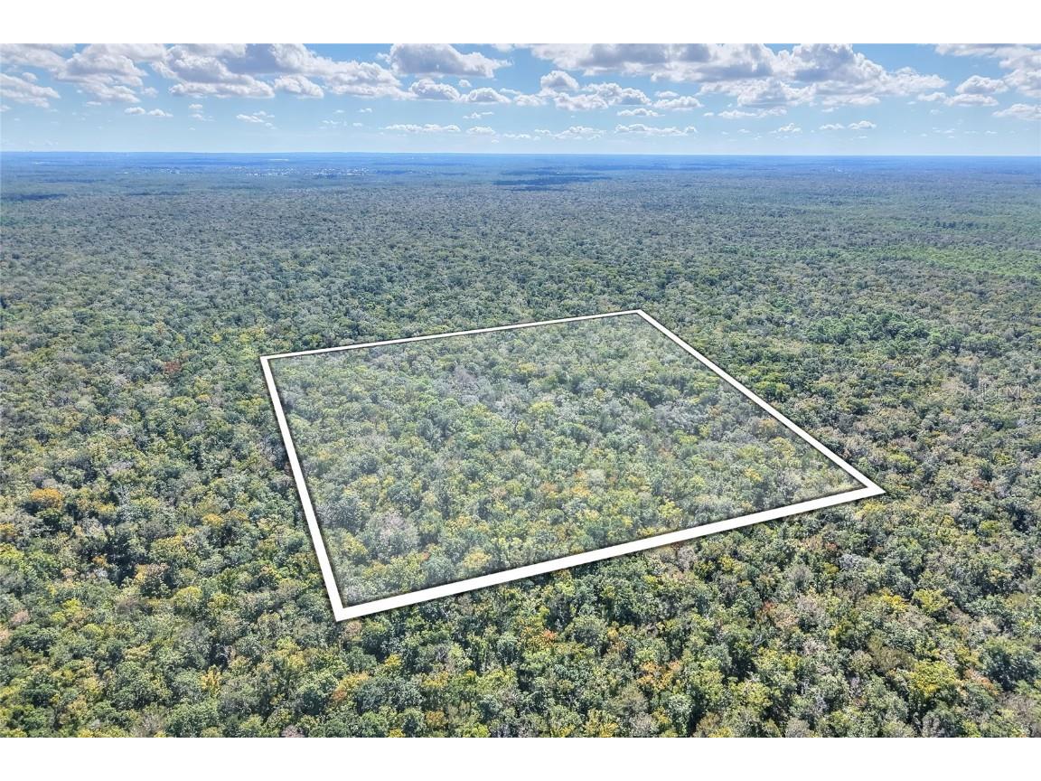 Pine Island Drive Weeki Wachee FL 34613 TB8438921 image32