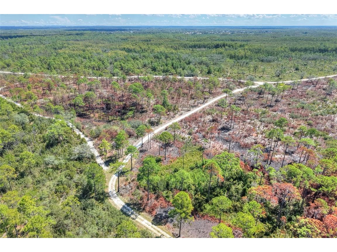 Pine Island Drive Weeki Wachee FL 34613 TB8438921 image4