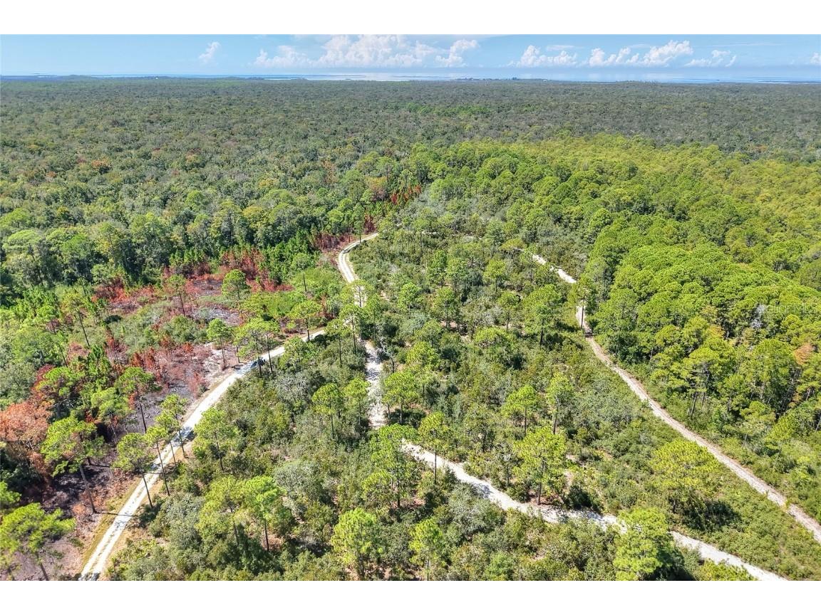 Pine Island Drive Weeki Wachee FL 34613 TB8438921 image5