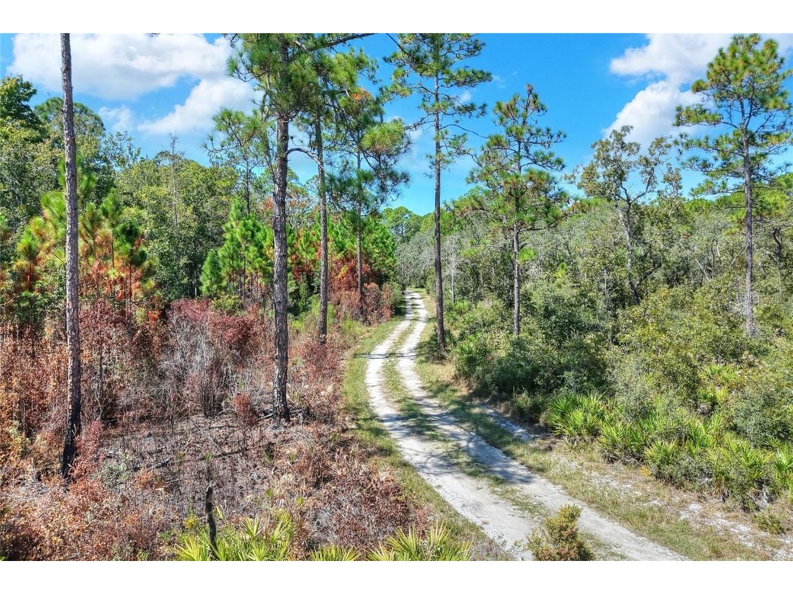 Pine Island Drive Weeki Wachee FL 34613 TB8438921 image6