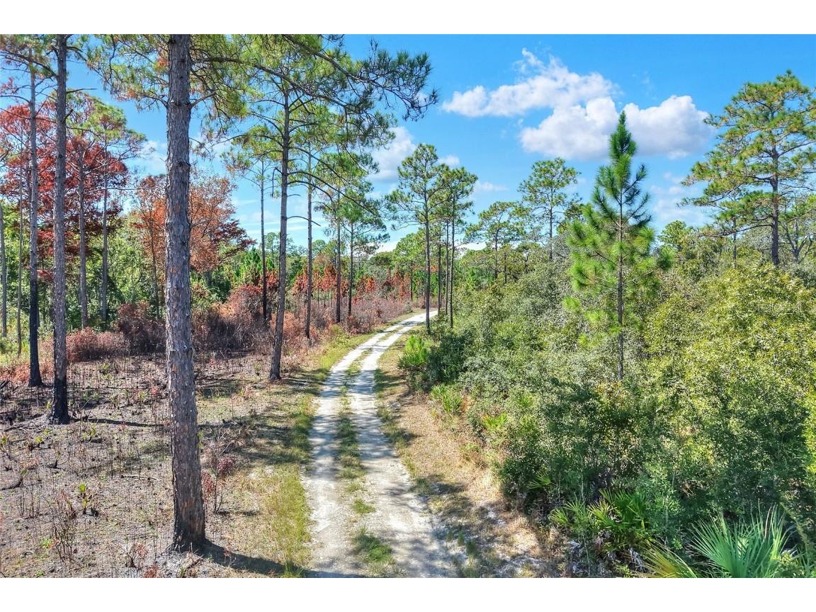 Pine Island Drive Weeki Wachee FL 34613 TB8438921 image7