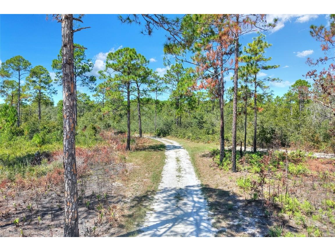 Pine Island Drive Weeki Wachee FL 34613 TB8438921 image8