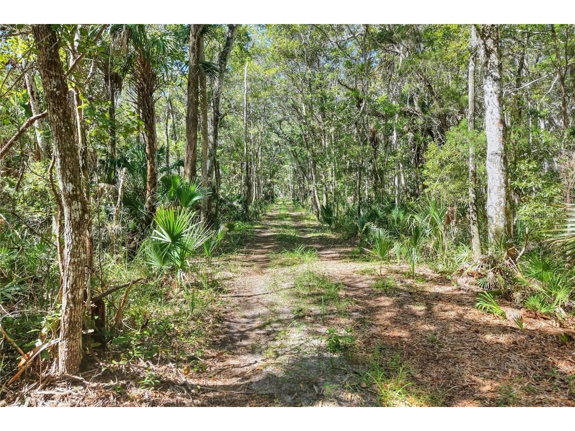 Pine Island Drive Weeki Wachee FL 34613 TB8438921 image9