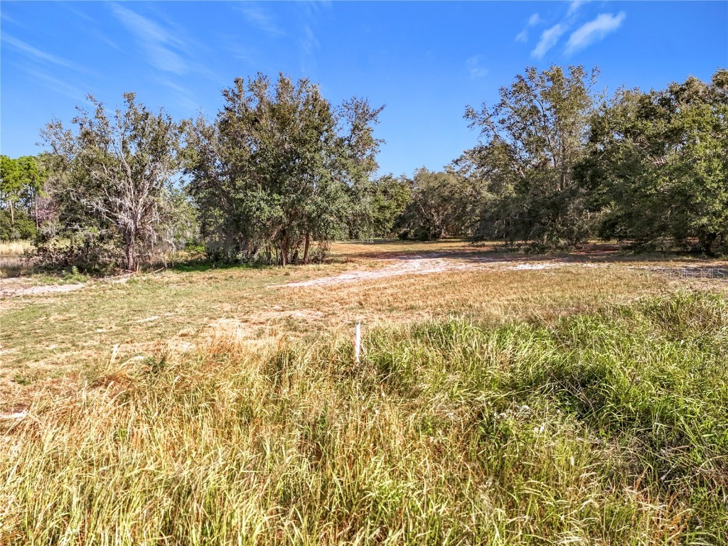 Pine Island Road Clermont FL 34711 O6309954 image17