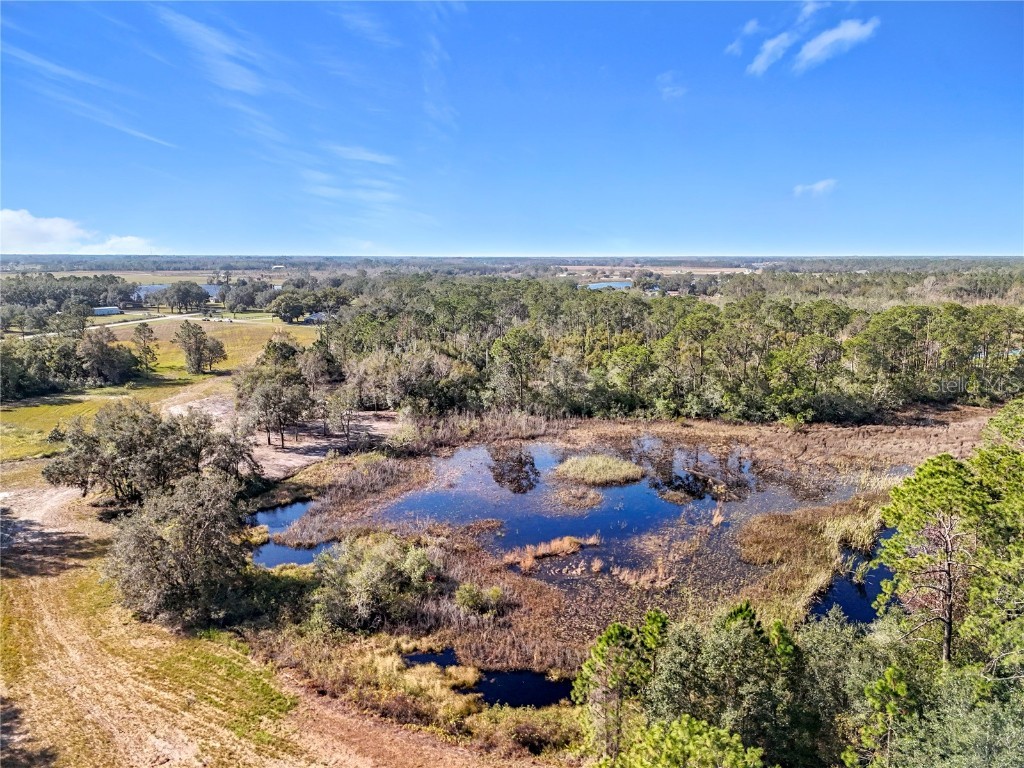 Pine Island Road Clermont FL 34711 O6309954 image6