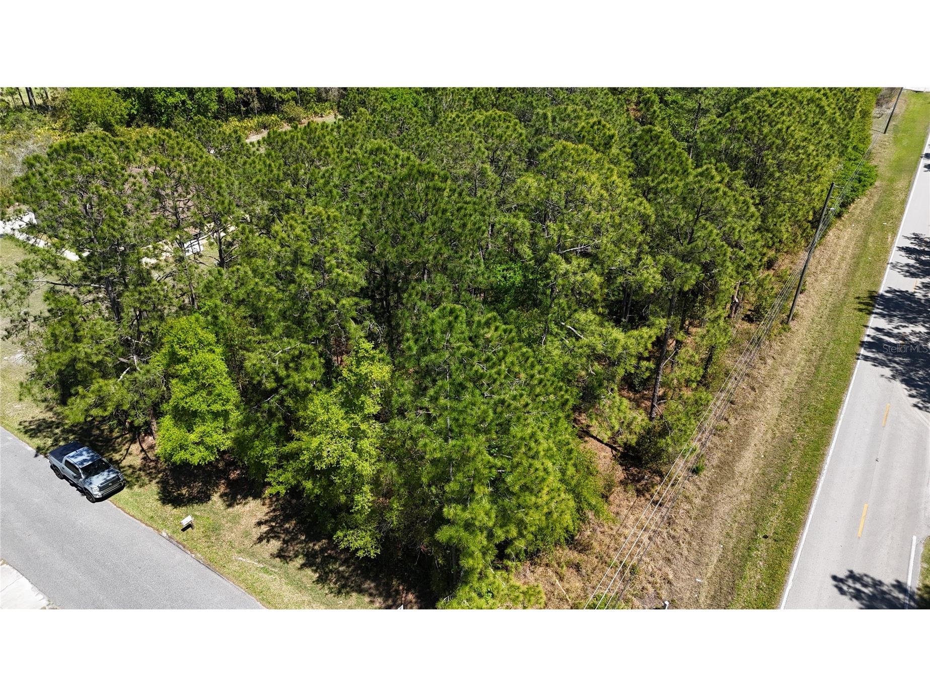 Pine Lands Dr Wesley Chapel FL 33544 TB8489274 image1