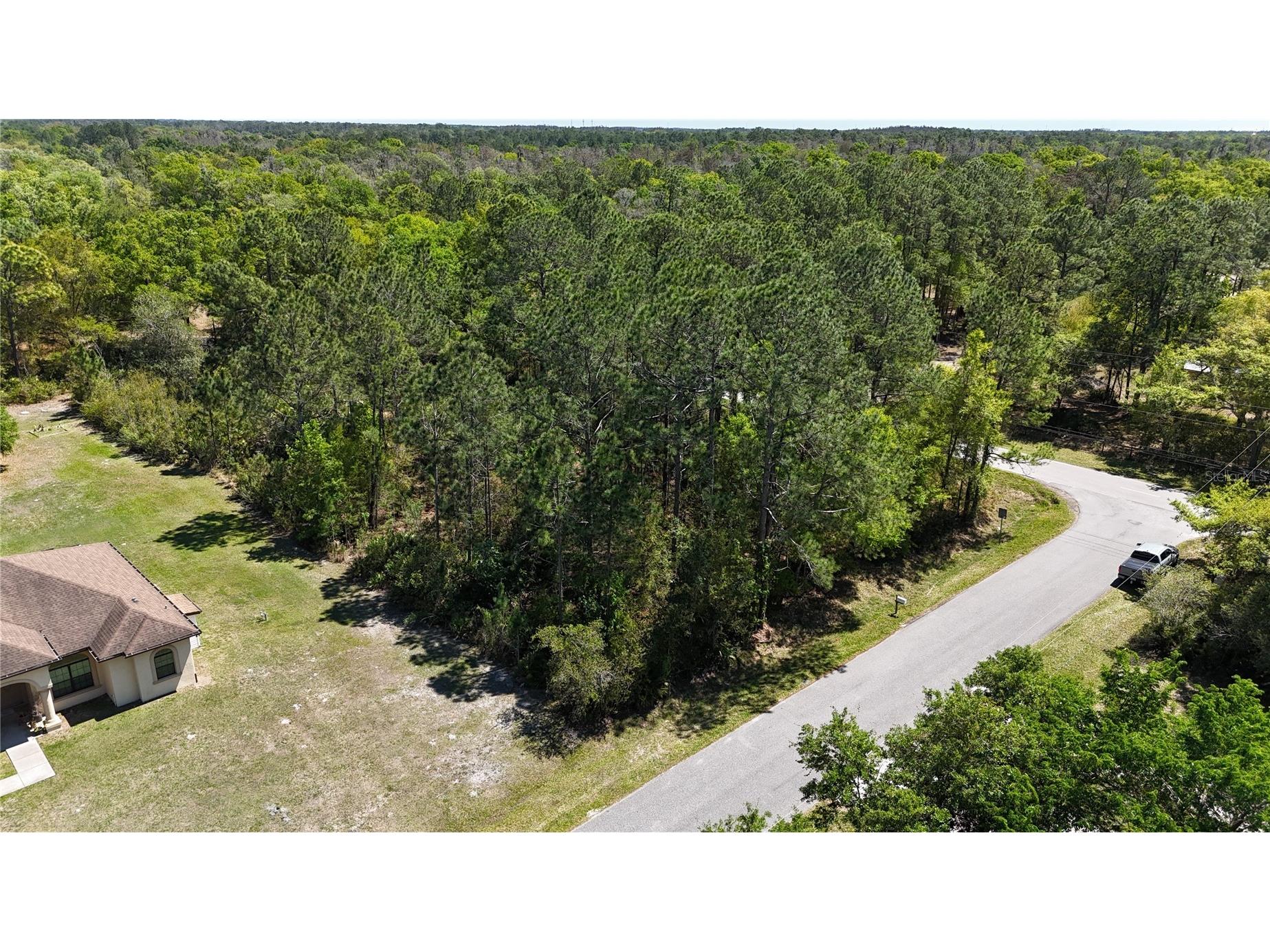 Pine Lands Dr Wesley Chapel FL 33544 TB8489274 image2