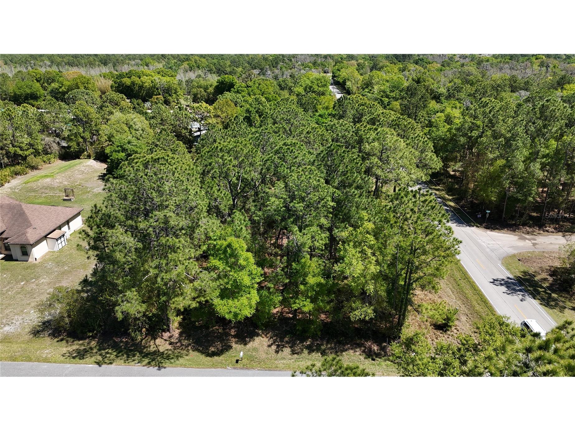 Pine Lands Dr Wesley Chapel FL 33544 TB8489274 image3