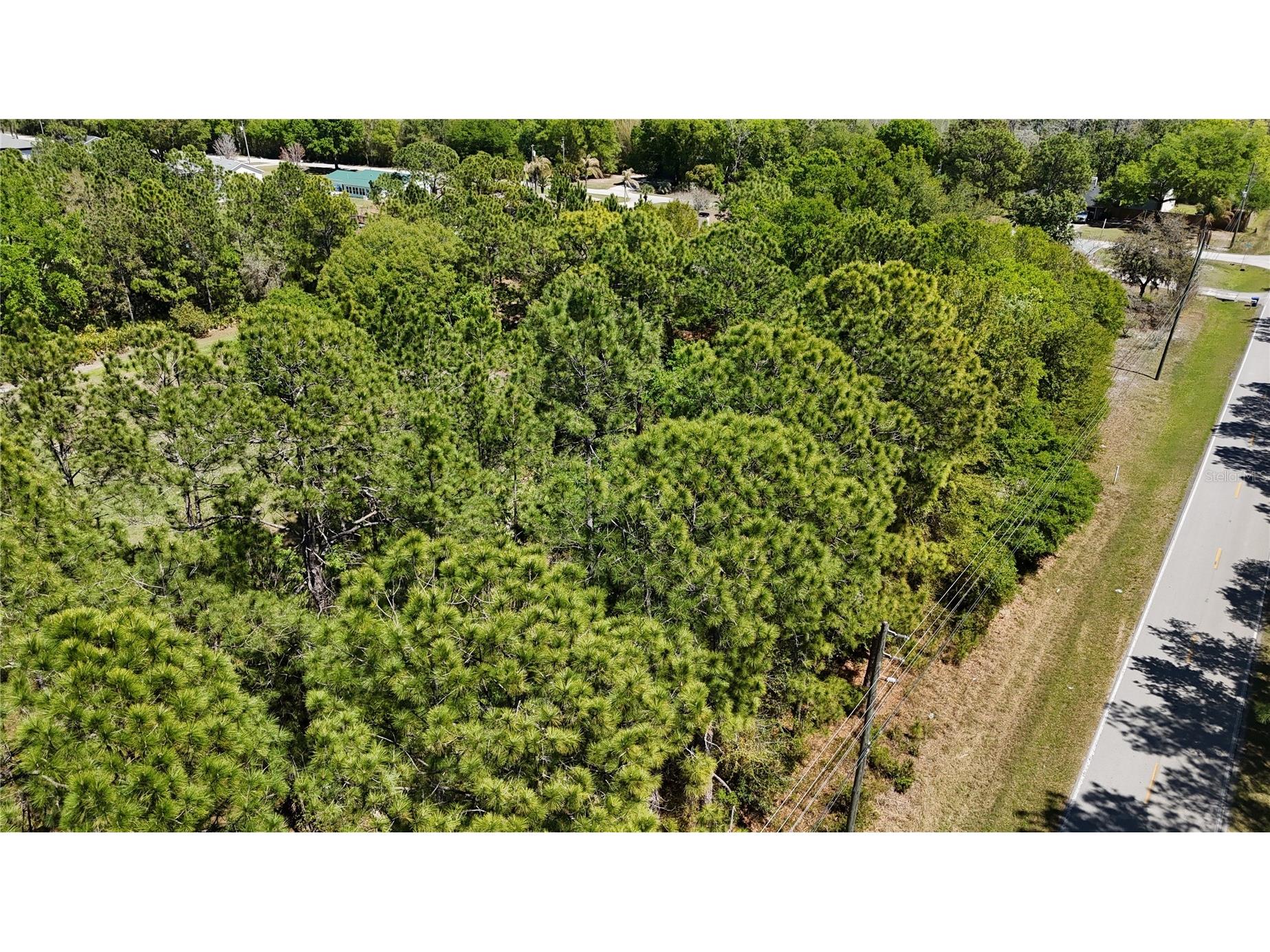 Pine Lands Dr Wesley Chapel FL 33544 TB8489274 image4