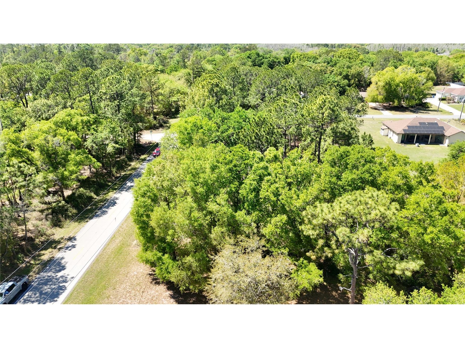 Pine Lands Dr Wesley Chapel FL 33544 TB8489274 image5