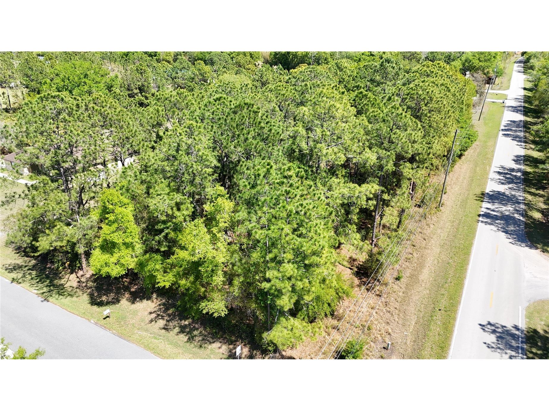 Pine Lands Dr Wesley Chapel FL 33544 TB8489274 image6