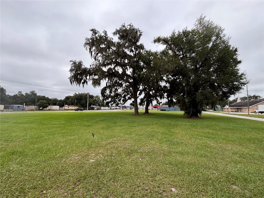Pine Level Avenue S Bartow FL 33830 L4956310 image1