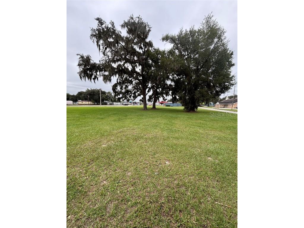 Pine Level Avenue S Bartow FL 33830 L4956310 image2