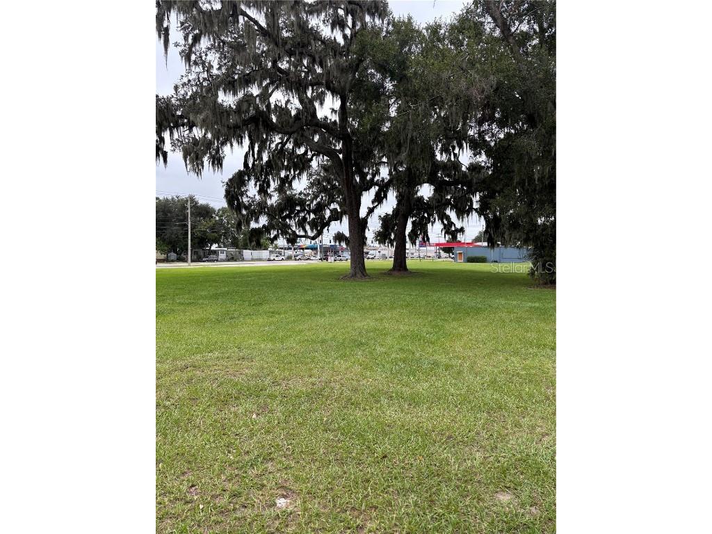 Pine Level Avenue S Bartow FL 33830 L4956310 image3