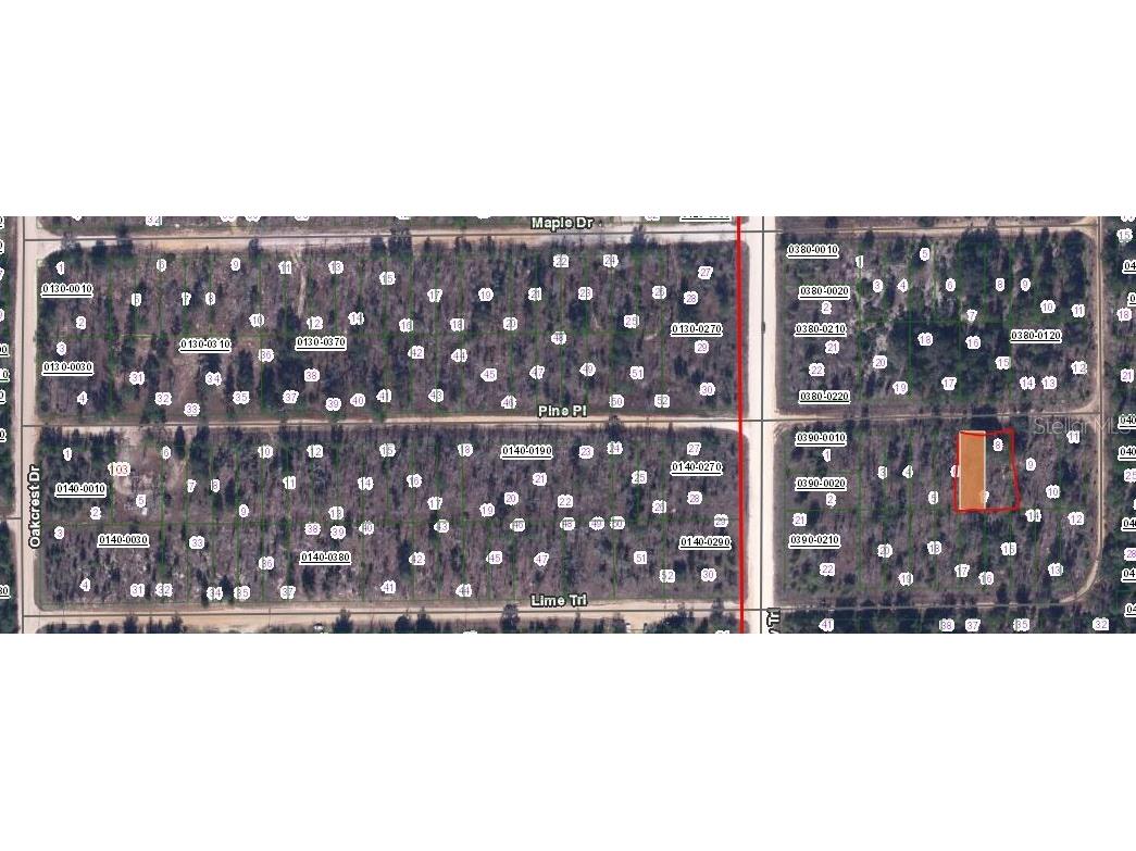 00 Pine Place Interlachen FL 32148 OM651525 image2