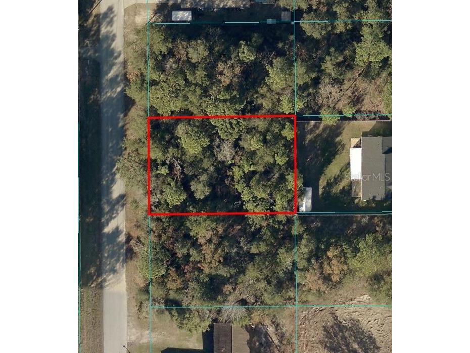 Pine Run Ocala FL 34472 O6209690 image1