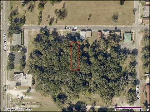 Pine Street Leesburg FL 34748 V4934372 image1