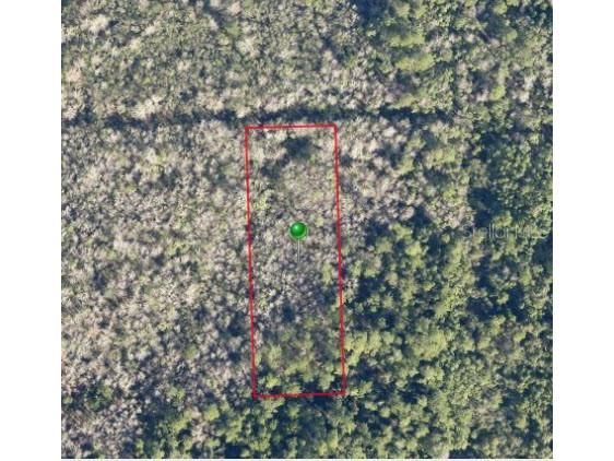 Pine Street Pierson FL 32180 V4942065 image1