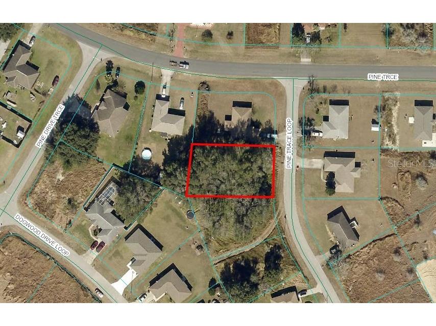 Pine Trace Loop Ocala FL 34472 A4603413 image1