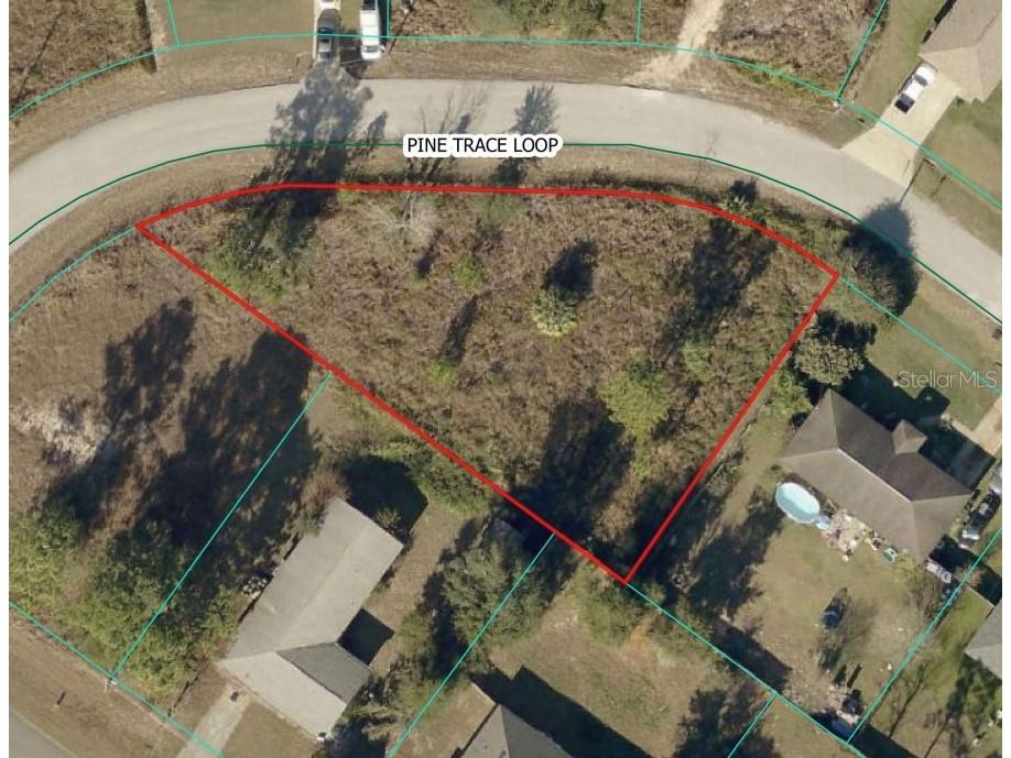 Pine Trace Loop Ocala FL 34472 S5145615 image1