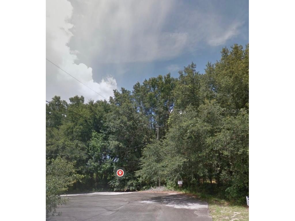 Pine Trace Trail Silver Springs FL 34489 U8201878 image1