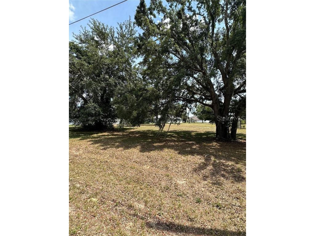 Pine Track Loop Ocala FL 34472 OM679338 image1