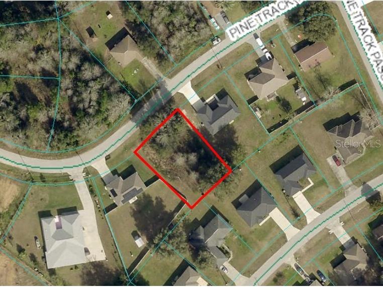 Pine Track Trail Ocala FL 34472 OM703633 image1