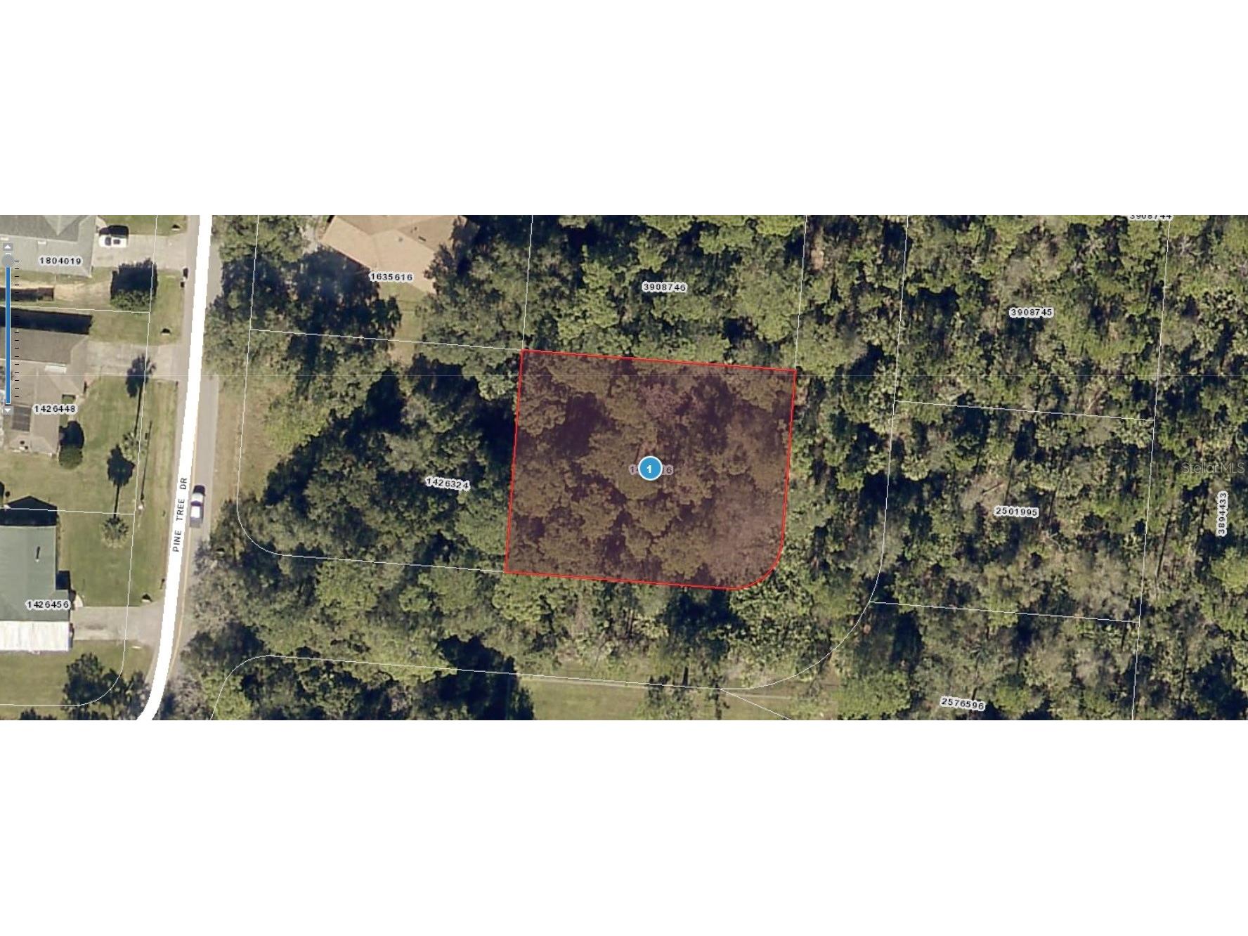 Pine Tree Drive Eustis FL 32726 G5071261 image1