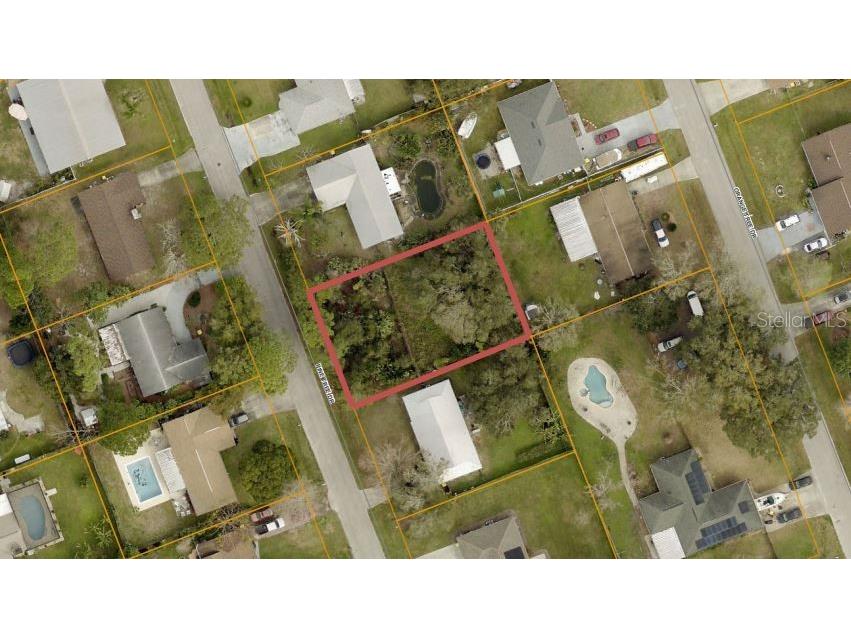 Pine Tree Drive Edgewater FL 32141 V4941319 image1