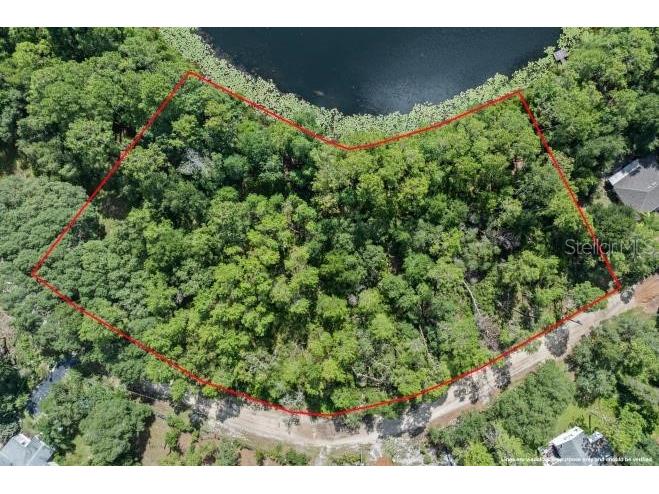 Pine Valley Drive Paisley FL 32767 O6331281 image1