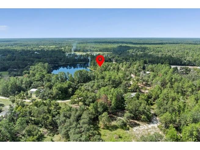 Pine Valley Drive Paisley FL 32767 O6331281 image2