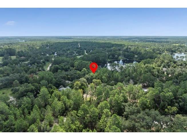 Pine Valley Drive Paisley FL 32767 O6331281 image3