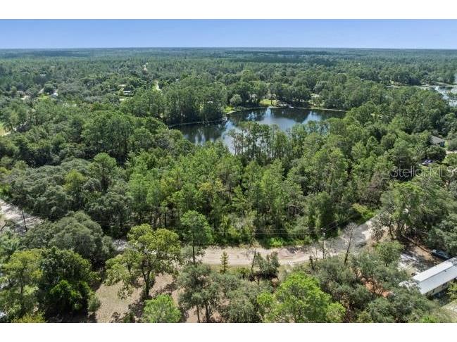 Pine Valley Drive Paisley FL 32767 O6331281 image4