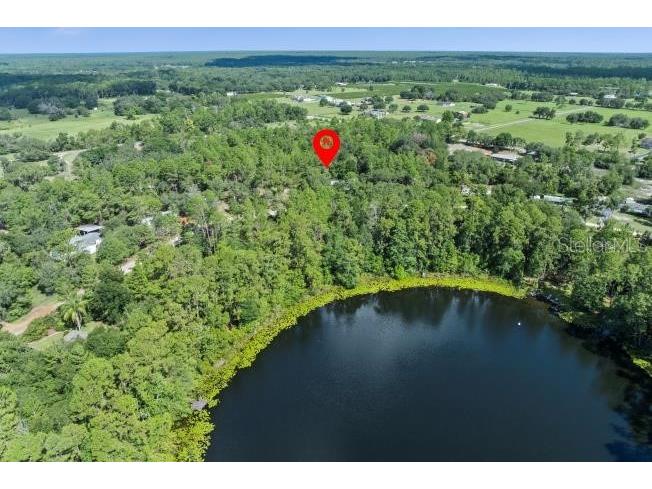 Pine Valley Drive Paisley FL 32767 O6331281 image5