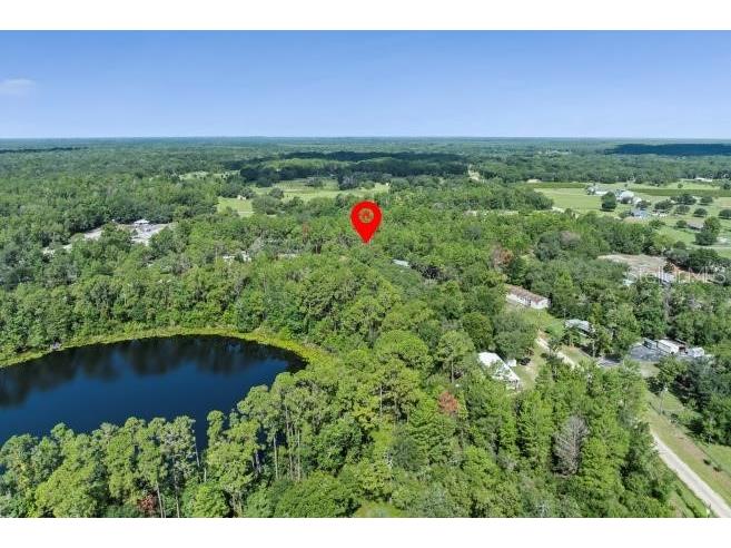 Pine Valley Drive Paisley FL 32767 O6331281 image6