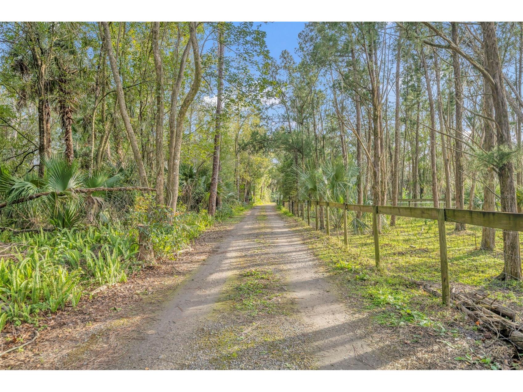 Pine Way Sanford FL 32773 O6376048 image12